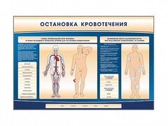 Электрифицированный стенд-тренажер "Остановка кровотечения" - fgospostavki.ru - Новосибирск
