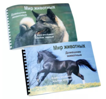 Пособие для слабовидящих - Домашние животные - fgospostavki.ru - Новосибирск