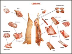 Таблица "Правила разделки мясных туш. Свинина" (100х140 сантиметров. винил) - fgospostavki.ru - Новосибирск