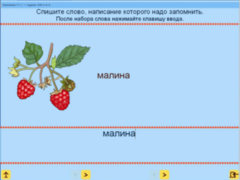 Русский язык. 1 класс. (Учебно-методический комплект) - fgospostavki.ru - Новосибирск