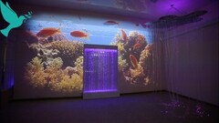 Проекционный дизайн виртуальной реальности Расширеный пакет - fgospostavki.ru - Новосибирск