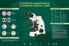 Электрифицированный стенд "Устройство микроскопа и правила работы c ним" - fgospostavki.ru - Новосибирск