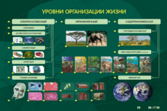 Электрифицированный стенд "Уровни организации жизни" - fgospostavki.ru - Новосибирск