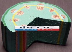 Модель "Стебель растения" - fgospostavki.ru - Новосибирск