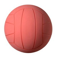 Мяч для игры в торбол звенящий - fgospostavki.ru - Новосибирск