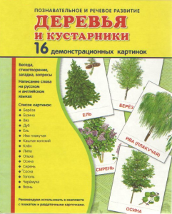 Демонстрационные карточки "Деревья и кустарники" - fgospostavki.ru - Новосибирск