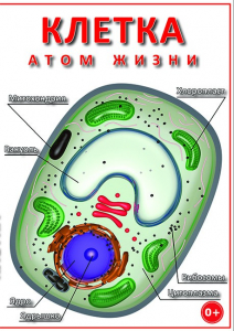 DVD "Клетка - "атом жизни" - fgospostavki.ru - Новосибирск