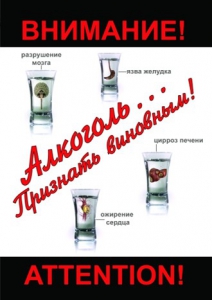 DVD "Алкоголь. Признать виновным" - fgospostavki.ru - Новосибирск