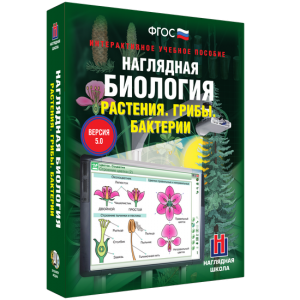 Наглядная биология. 6 класс. Растения. Грибы. Бактерии - fgospostavki.ru - Новосибирск