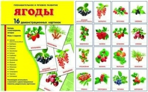 Демонстрационные карточки "Ягоды" - fgospostavki.ru - Новосибирск