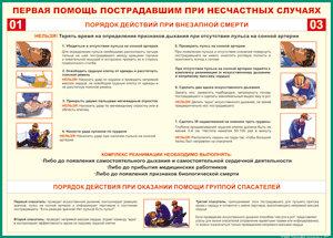 Таблица "Порядок действий при внезапной смерти" (100х140 сантиметров, винил) - fgospostavki.ru - Новосибирск