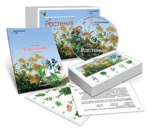 Комбинированное наглядное пособие «Растения» - fgospostavki.ru - Новосибирск