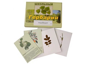 Гербарий "Деревья и кустарники" (22 вида, с иллюстрациями) - fgospostavki.ru - Новосибирск
