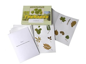 Гербарий "Морфология растений" (6 тем, 30 видов) - fgospostavki.ru - Новосибирск