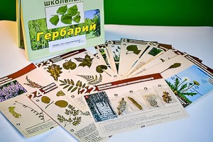 Гербарий к курсу основ общей биологии - fgospostavki.ru - Новосибирск