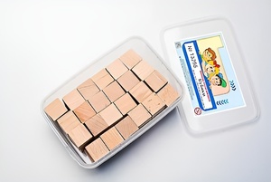 Игровой набор Фребеля "Кубики" (48 шт., бук, серия "Красота вокруг нас") - fgospostavki.ru - Новосибирск