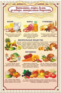 Стенд "Витамины, жиры, белки" - fgospostavki.ru - Новосибирск
