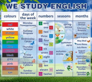 Стенд "We study english" - fgospostavki.ru - Новосибирск
