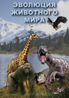 DVD "Эволюция животного мира" - fgospostavki.ru - Новосибирск