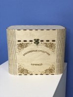 Сундук логопеда для детей 5-6 лет - fgospostavki.ru - Новосибирск
