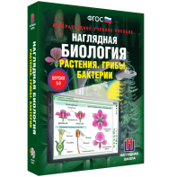 Наглядная биология. 6 класс. Растения. Грибы. Бактерии - fgospostavki.ru - Новосибирск