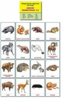 Раздаточные карточки "Дикие животные (1)" - fgospostavki.ru - Новосибирск