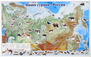 Магнитные карточки "Животные" - fgospostavki.ru - Новосибирск