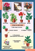 Комплект таблиц. Окружающий мир 1 класс. - fgospostavki.ru - Новосибирск