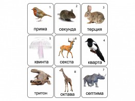 Набор магнитных карточек по музыке "Животные" (9 штук) - fgospostavki.ru - Новосибирск