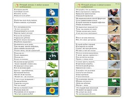 Комплект карточек (10) "Обучающий калейдоскоп. Природа" - fgospostavki.ru - Новосибирск