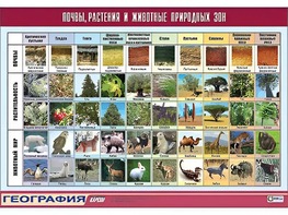 Таблица демонстрационная "Почвы, растения и животные природных зон" (винил 70*100) - fgospostavki.ru - Новосибирск