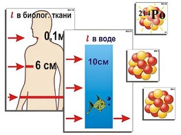 Модель-аппликация "Явление радиоактивности" (ламинированная) - fgospostavki.ru - Новосибирск