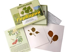 Гербарий "Систематика растений. Семейство Розоцветные" (раздаточный) - fgospostavki.ru - Новосибирск