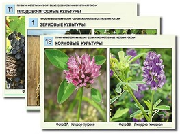 Гербарий фотографический "Сельскохозяйственные растения России" - fgospostavki.ru - Новосибирск