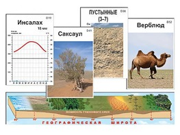 Модель-аппликация "Природные зоны" - fgospostavki.ru - Новосибирск