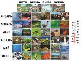 Фенологические наблюдения - fgospostavki.ru - Новосибирск