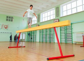 Бревно гимнастическое напольное постоянной высоты (700 мм) (5 м) - fgospostavki.ru - Новосибирск