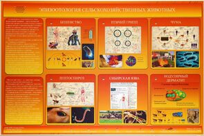Электрифицированный стенд «Эпизоотология сельскохозяйственных животных» - fgospostavki.ru - Новосибирск