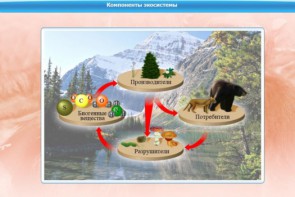 Интерактивные курсы. Биология 7 класс. Базовый. - fgospostavki.ru - Новосибирск