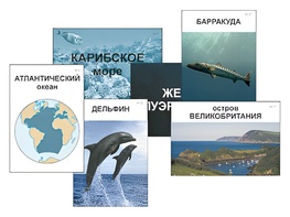 Модель-аппликация "Океаны. Знакомство" (ламинированная) - fgospostavki.ru - Новосибирск