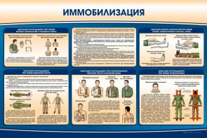 Стенд "Иммобилизация" - fgospostavki.ru - Новосибирск