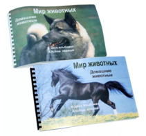 Пособие для слабовидящих - Домашние животные - fgospostavki.ru - Новосибирск