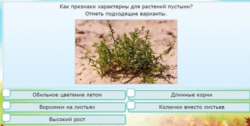 Интерактивные курсы. Окружающий мир 3 класс . Базовый. - fgospostavki.ru - Новосибирск