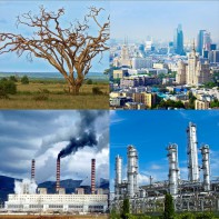 Модель-аппликация Биосфера и человек - fgospostavki.ru - Новосибирск