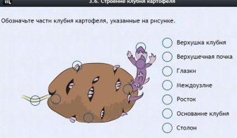 Интерактивные курсы. Биология 6 класс. Расширенный - fgospostavki.ru - Новосибирск