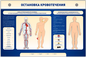 Электрифицированный стенд-тренажер "Остановка кровотечения" - fgospostavki.ru - Новосибирск