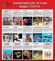 Стенд "Олимпийские летние виды спорта" - fgospostavki.ru - Новосибирск