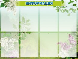 Стенд "Информация" Вариант 13 - fgospostavki.ru - Новосибирск