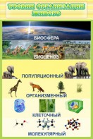 Стенд "Уровни организации живого" - fgospostavki.ru - Новосибирск