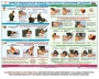 Комплект плакатов "Оказание первой доврачебной медицинской помощи" - fgospostavki.ru - Новосибирск